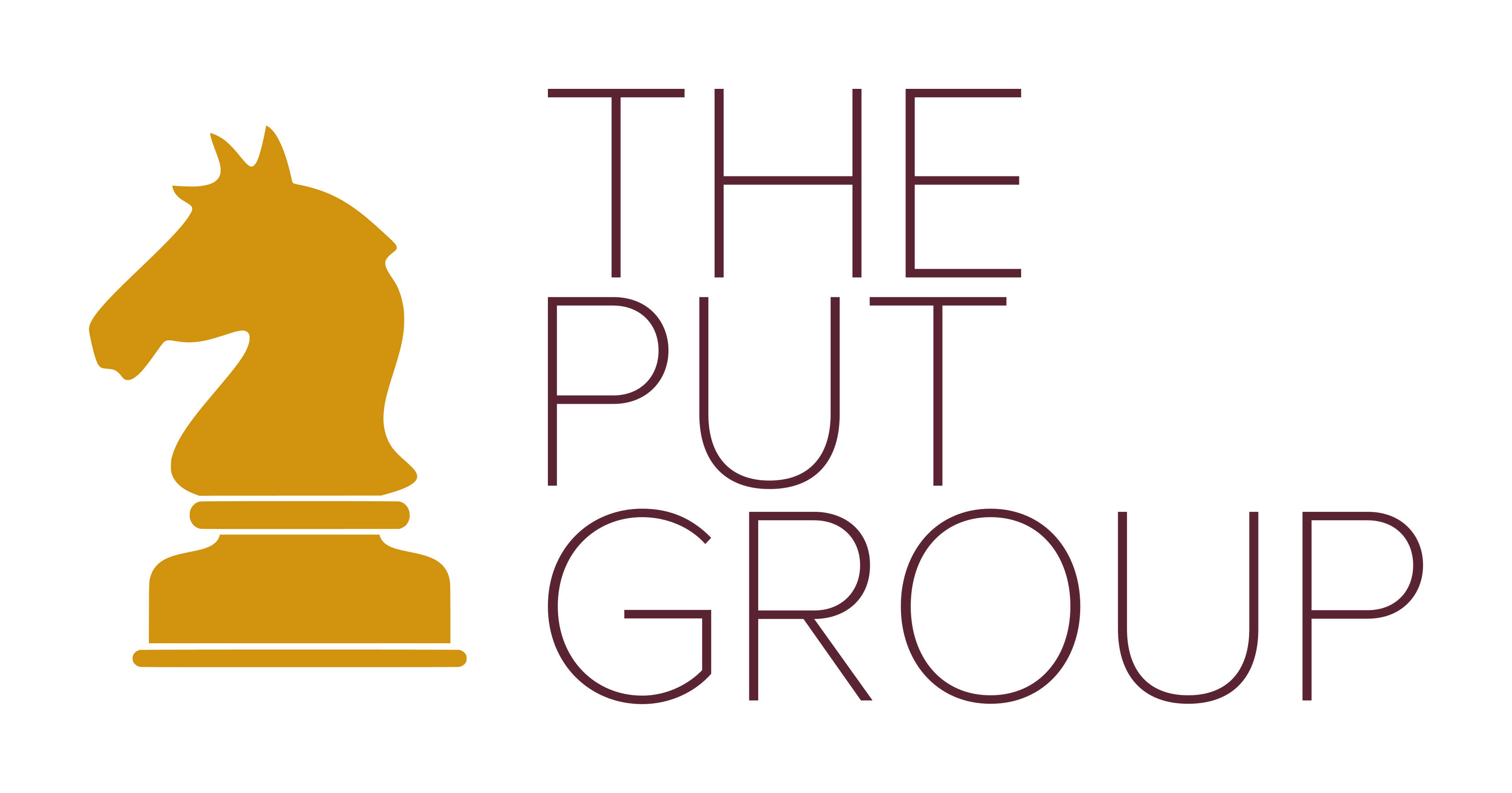 The PUT Group LLC